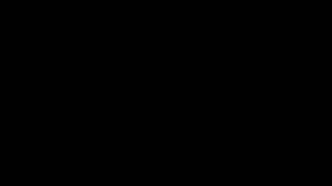 Caméra IP - 미국