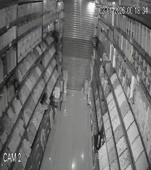 Caméra IP - Türkiye