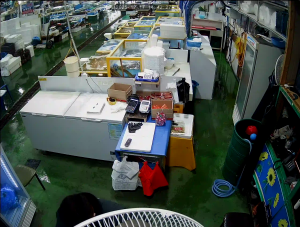 Caméra IP - Südkorea