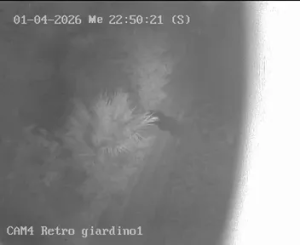 Caméra IP - Italien