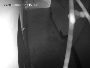 Caméra IP - Russian Federation