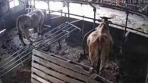 Caméra IP - Spanien