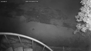 Caméra IP - Pakistan