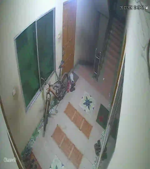 Caméra IP - Vue en direct