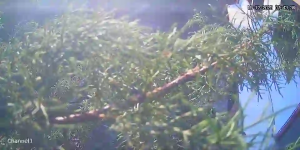 Caméra IP - México