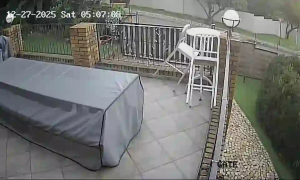 Caméra IP - Sudafrica