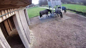 Caméra IP - Allemagne