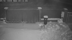 Caméra IP - Belarus