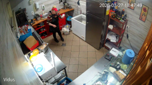 Caméra IP - Lithuania