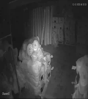 Caméra IP - Turquie