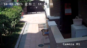 Caméra IP - China