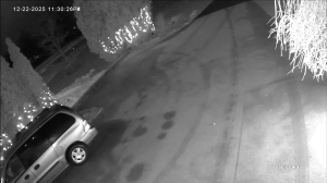 Caméra IP - Belgium