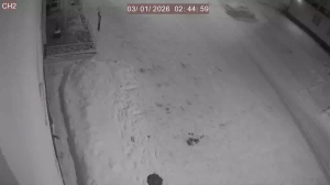 Caméra IP - Russian Federation