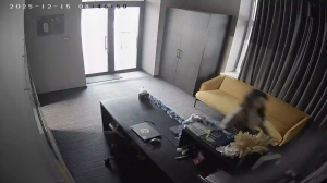 Caméra IP - Ukraine