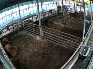 Caméra IP - República de Corea