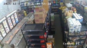 Caméra IP - Suriname