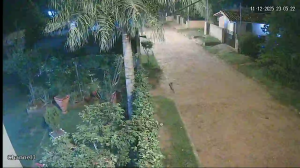 Caméra IP - Paraguay