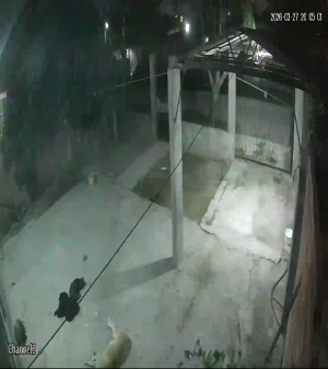 Caméra IP - Argentina