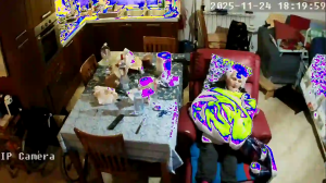 Caméra IP - Royaume-Uni