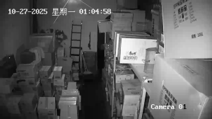 Caméra IP - China