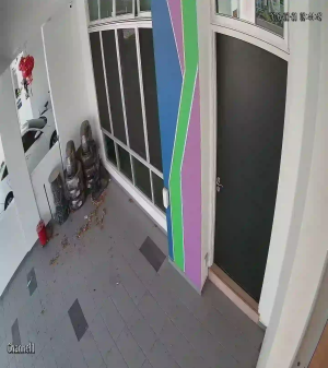 Caméra IP - Malasia