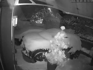 Caméra IP - Germany