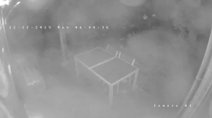 Caméra IP - Netherlands