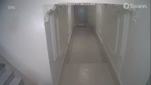 Caméra IP - United States of America