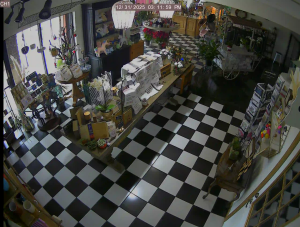 Caméra IP - United States of America