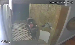 Caméra IP - Portugal