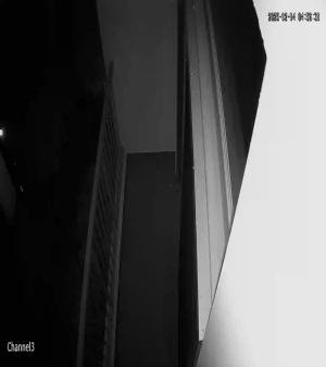 Caméra IP - Malaisie