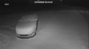 Caméra IP - Estados Unidos