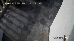 Caméra IP - Netherlands