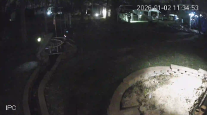 Caméra IP - United States of America