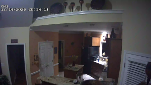 Caméra IP - United States of America