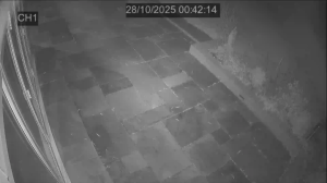 Caméra IP - Regno Unito