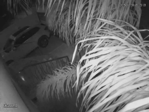 Caméra IP - Marokko