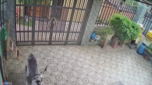 Caméra IP - Vietnam