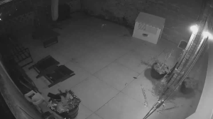 Caméra IP - Netherlands