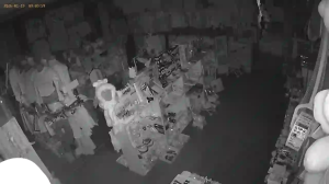 Caméra IP - Russian Federation