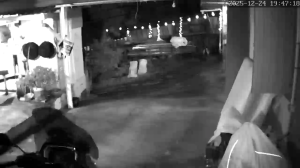 Caméra IP - Vue en direct