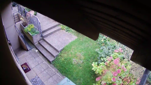 Caméra IP - Switzerland