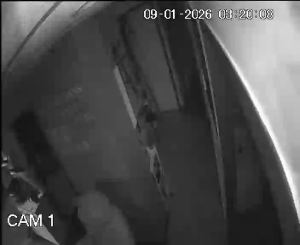 Caméra IP - Frankreich