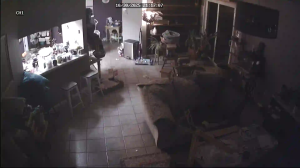 Caméra IP - Stati Uniti d'America