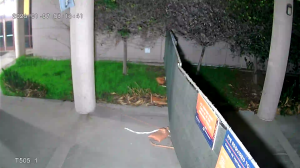 Caméra IP - United States of America