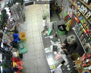 Caméra IP - Russian Federation