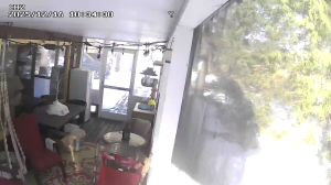 Caméra IP - États-Unis d'Amérique