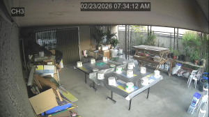 Caméra IP - United States of America