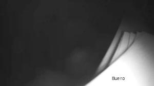 Caméra IP - Germany