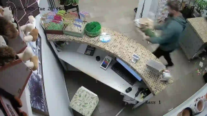 Caméra IP - Russische Föderation